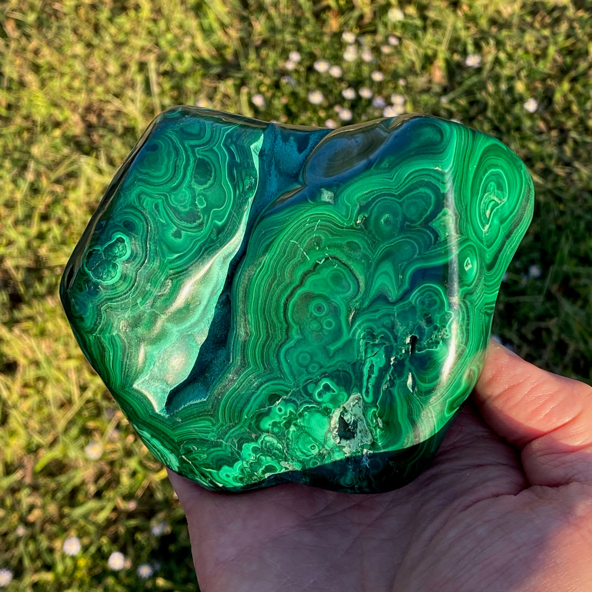 Exceptional Large Malachite High Quality Deep Green Color Banding Eyes 964 grams