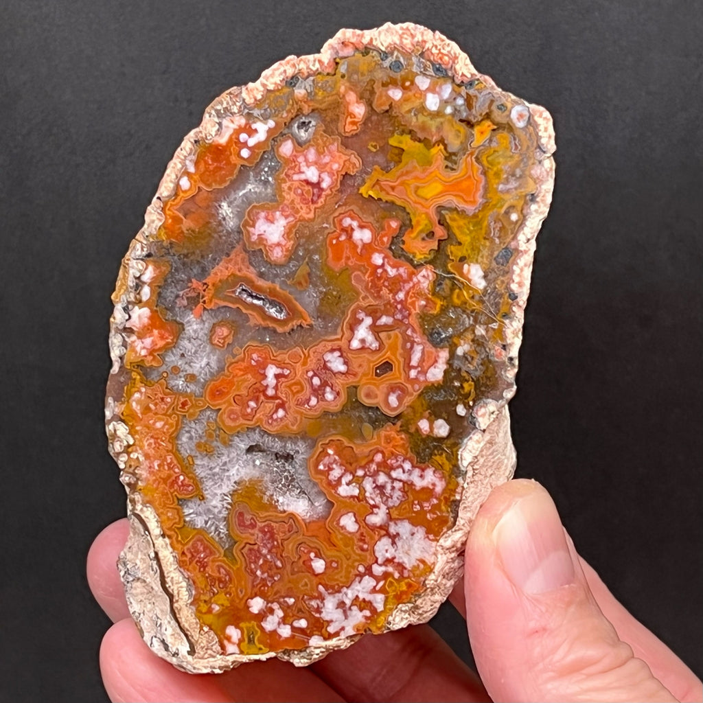 Some of the excellent features of this Moroccan Agate include highly detailed, layered banding, and concentric rings around the orbs scattered throughout the specimen.