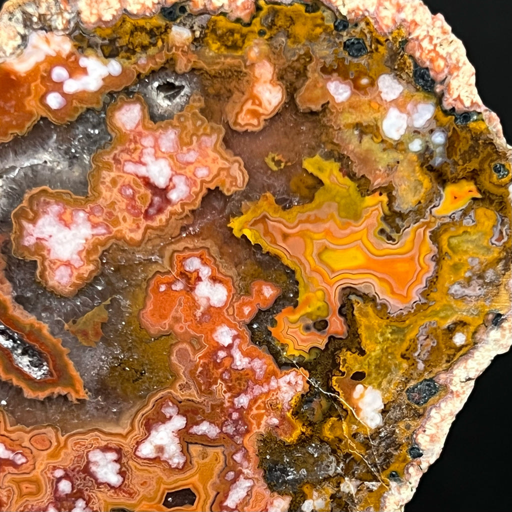 The contrasting colors presented in this fine Moroccan Agate add to the overall beauty of the specimen.