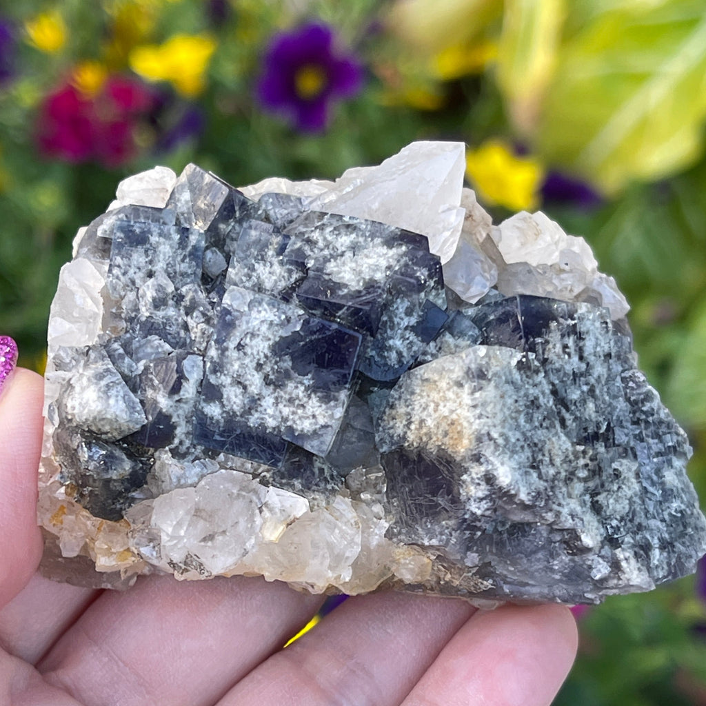 Milky Way Fluorite on a bed on Quartz with one prominent quartz point within the cluster. Unique specimen.
