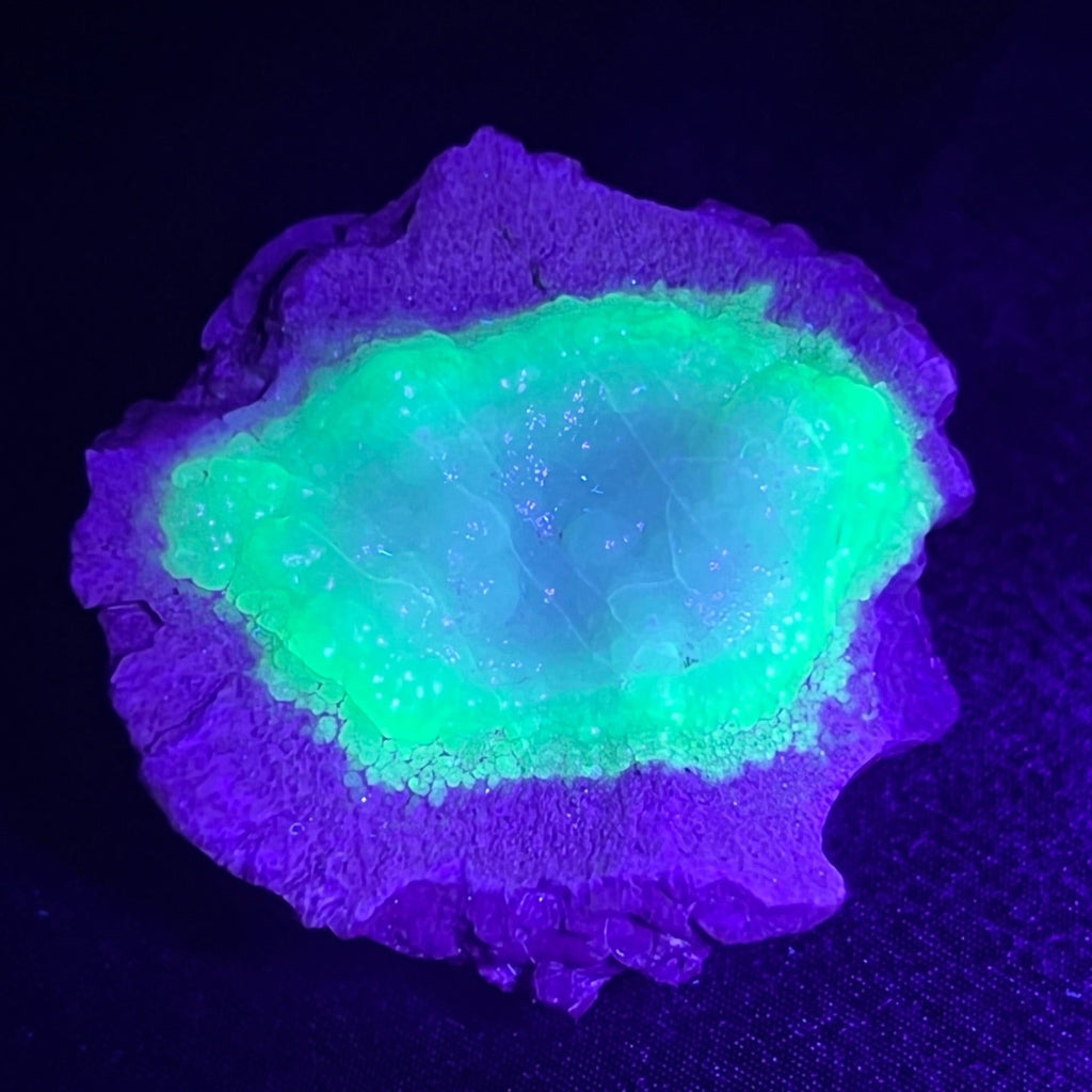 A beautiful, distinguishing  feature of Hyalite Opal, like this one, is that it glows a strong green fluorescence in UV light.