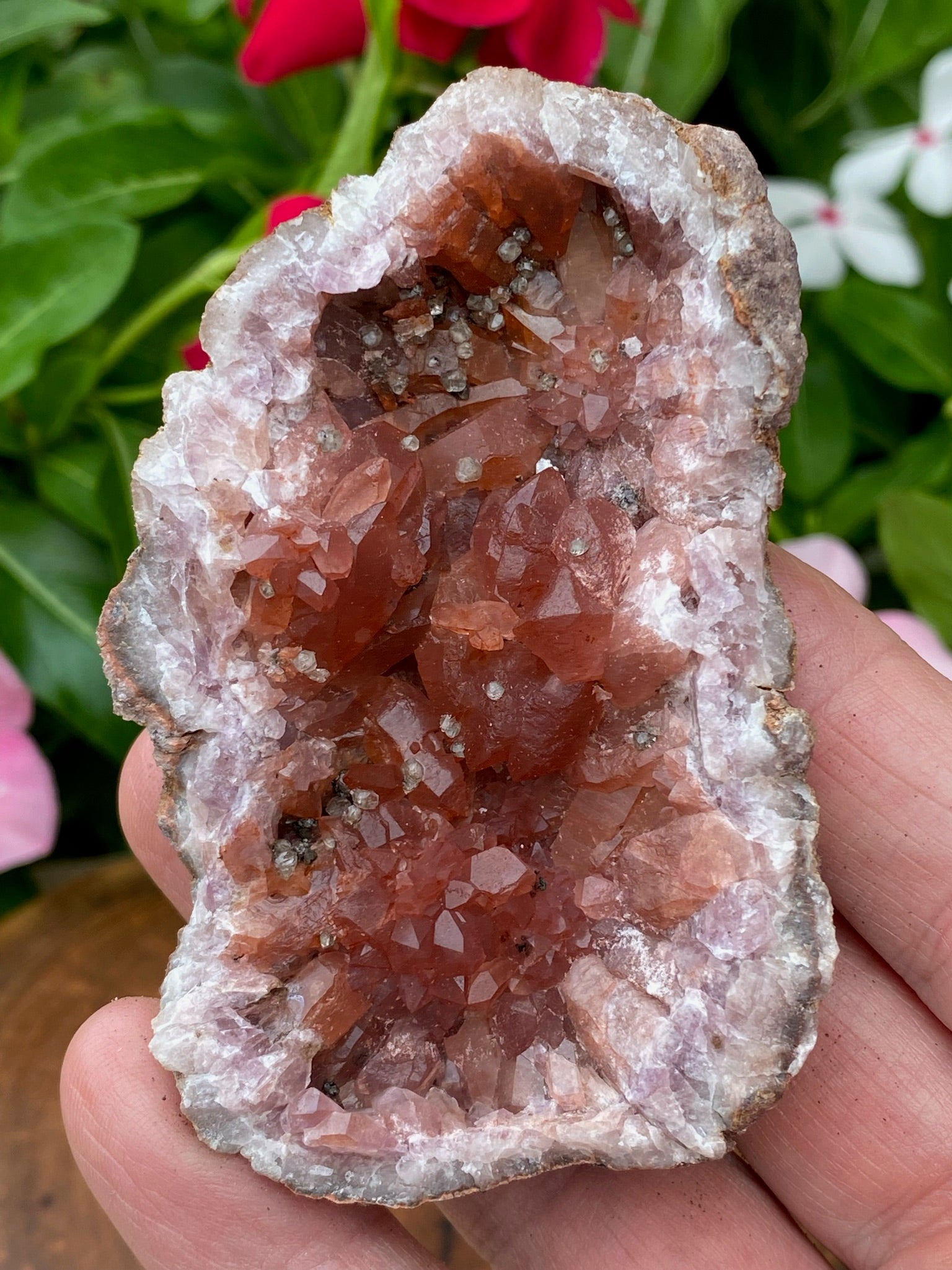 Pink Amethyst Crystal Geode with Hematite 81 grams