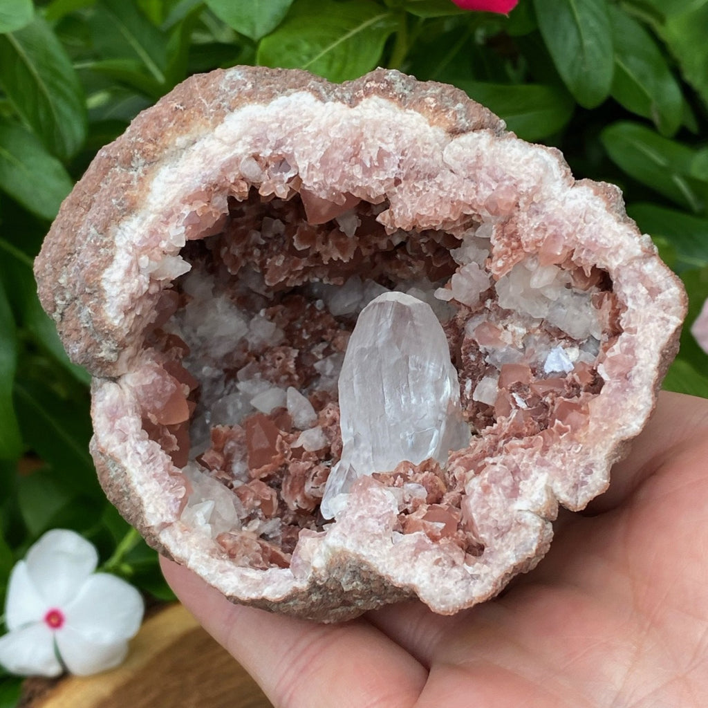 The large Calcite crystal in this geode is exceptional in quality, form and size for Pink Amethyst geodes.