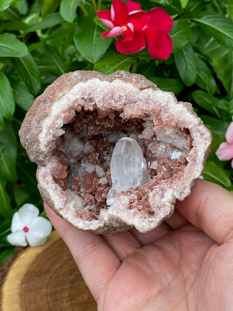 This is a a superb, top shelf display specimen! The source or location for this exceptional Pink Amethyst geode with a rare occurence of Calcite is the El Chioque Mine, Pehuenches-Neuquen, Patagonia, Argentina