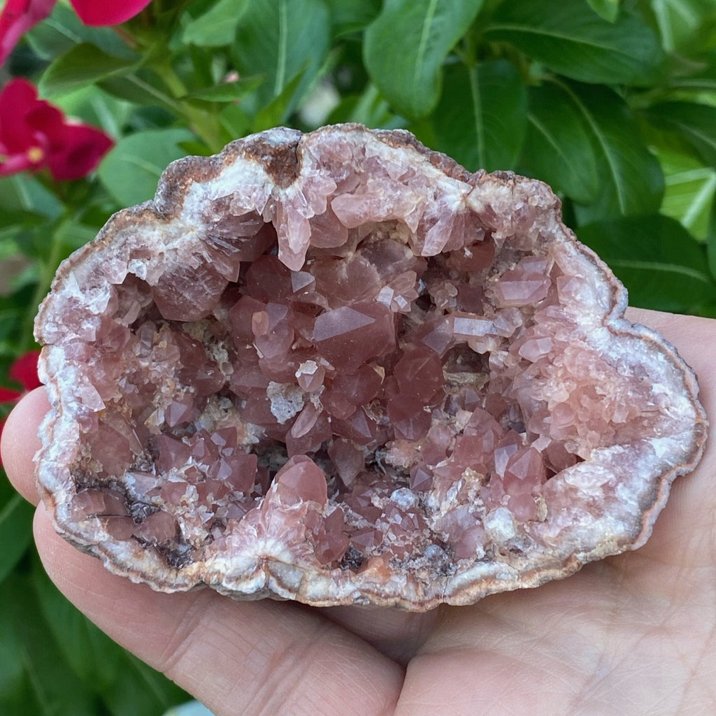 This is fine example of a geode with a cluster of darker Pink Amethyst crystals.