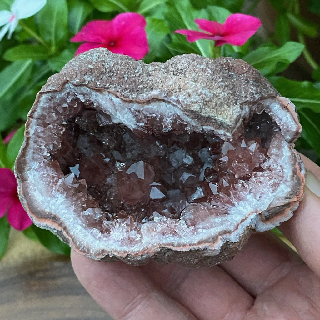 The extreme luster of this specimen is a true indicator of this being a superb, high quality Pink Amethyst Crystals Geode. The fascinating zoning of the sensationally well formed prismatic Pink Amethyst crystals deep in the pocket of this geode are some of the best we've seen! 