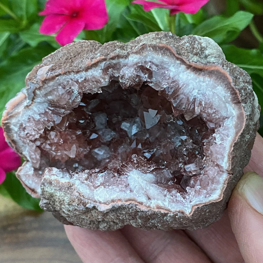 The beautifully contrasting calcite crystals embedded in the lowest areas of this Pink Amethyst Crystals Geode specimen are especially notable too. 