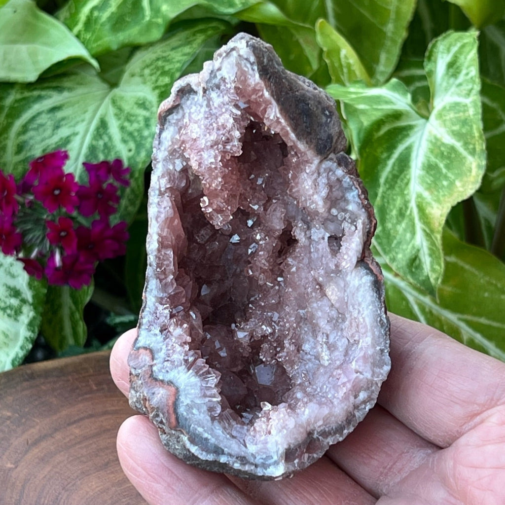 The dark pink color is representative of a high quality Pink Amethyst Crystals specimen. The faces and terminations of the crystals in this specimen are well formed. 