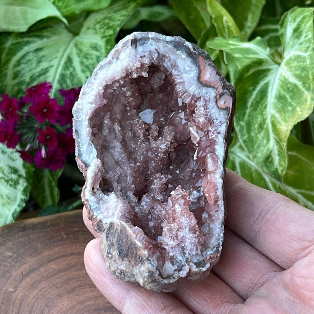 We love the extended, bridge-like formations of the clusters of druzy Pink Amethyst crystals in this specimen.