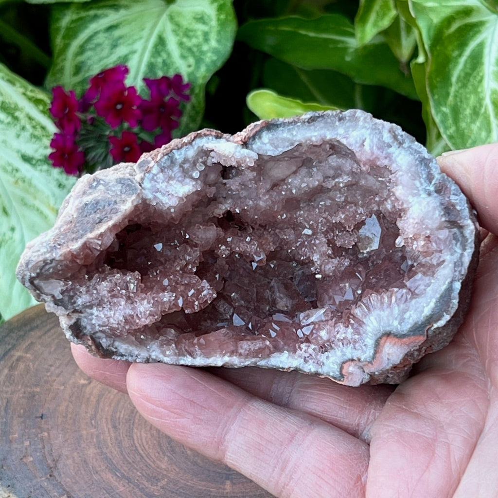 Specializing in the highest quality Pink Amethyst Crystal Geodes available. Always 100% natural, never treated.  This is an extremely lustrous, deep pink, high quality Pink Amethyst Crystals Geode specimen.  3.72" x 2.26" x 2.01" or 94.6mm x 57.5mm x 51mm deep.