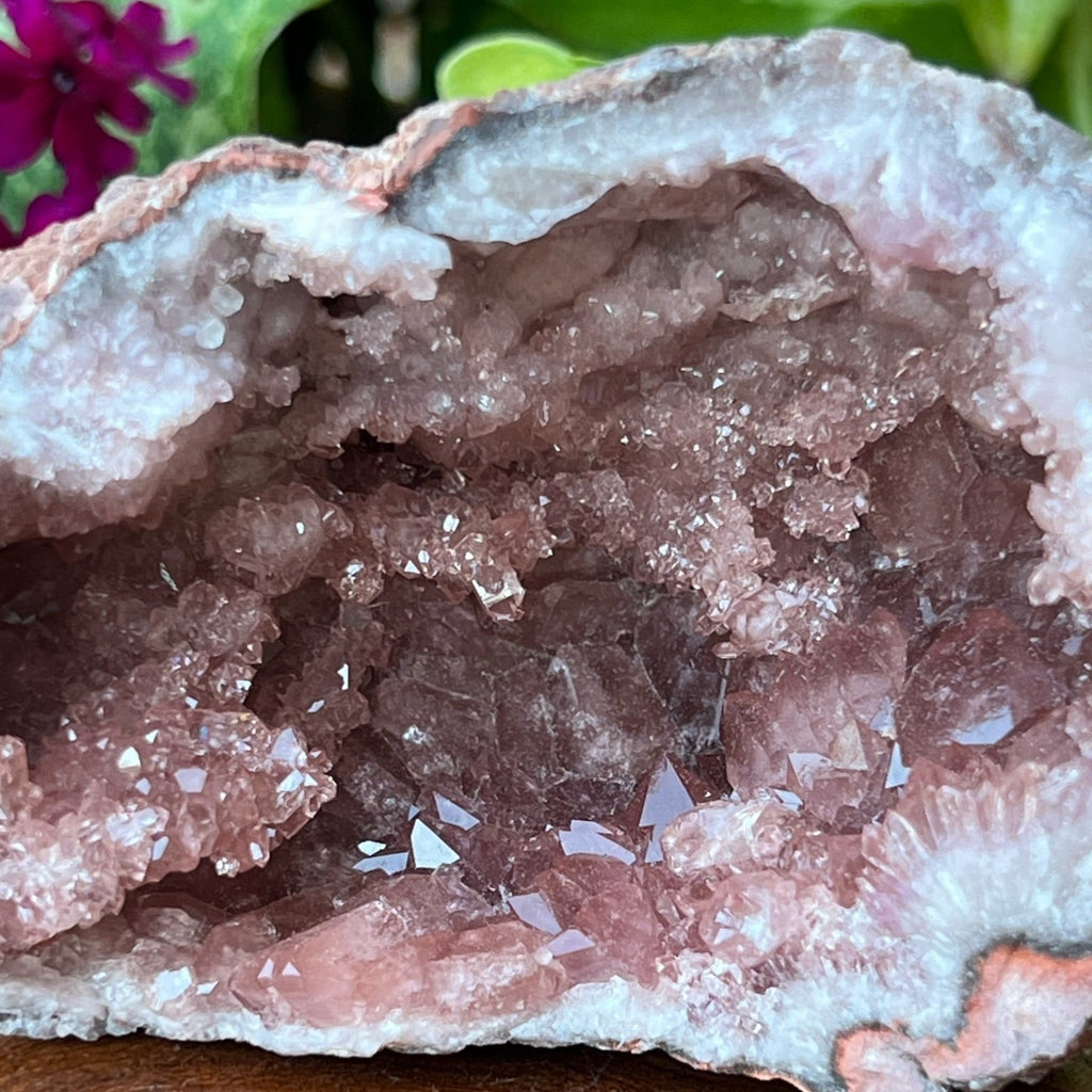 The super sparkly secondary growth small and druzy crystals give this Pink Amethyst Crystals Geode specimen an overall supremely shimmering presence. 