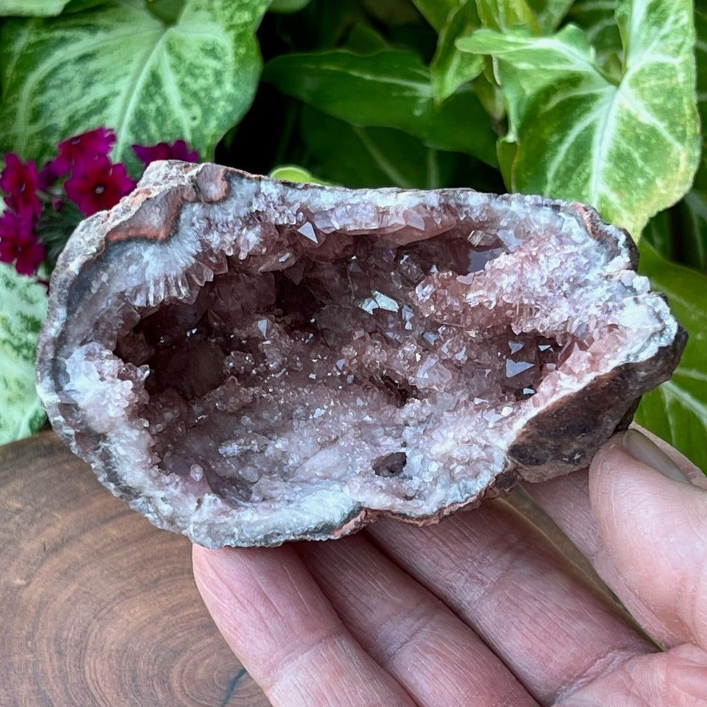 Some of the formations in this Pink Amethyst specimen include water clear, double terminated crystals!