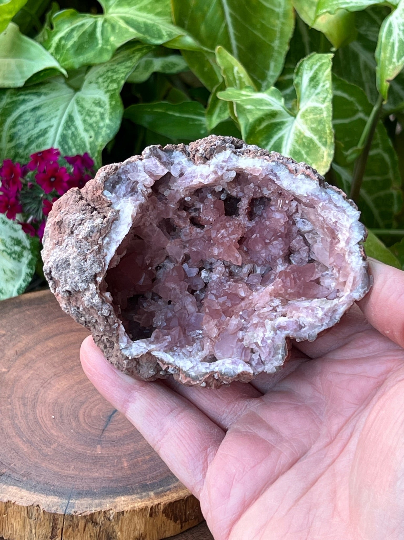 The overall oval shape of this Pink Amethyst Geode specimen is very aesthetic.
