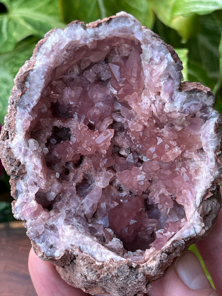 Fascinatingly, the top double terminated crystal in this Pink Amethyst Geode has another tiny crystal beginning to grow out from it.