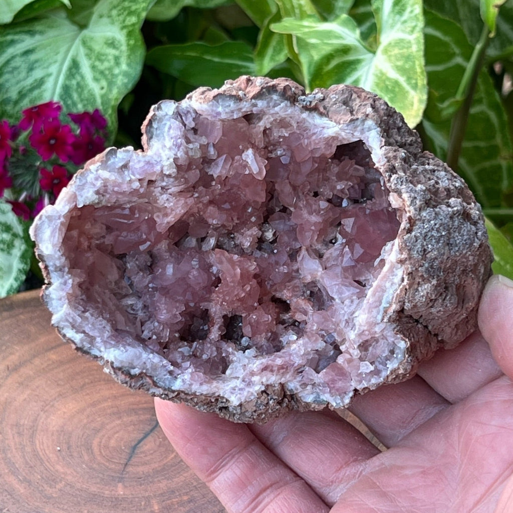 The faces and terminations of the crystals in this Pink Amethyst Geode are well formed.
