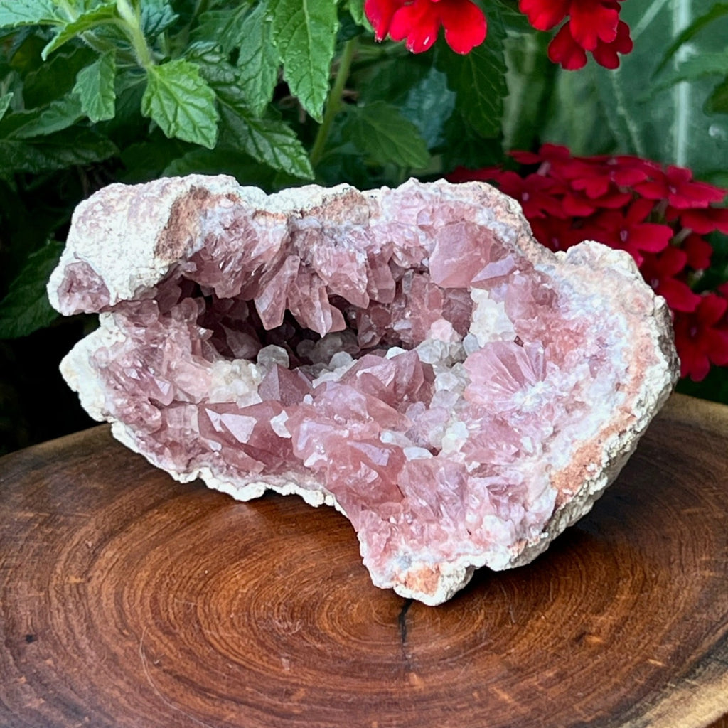  Some gentle zoning is present in some of the Pink Amethyst crystals. An exceptional combination of Pink Amethyst and Calcite crystals make this a intriguing geode specimen to explore and display.
