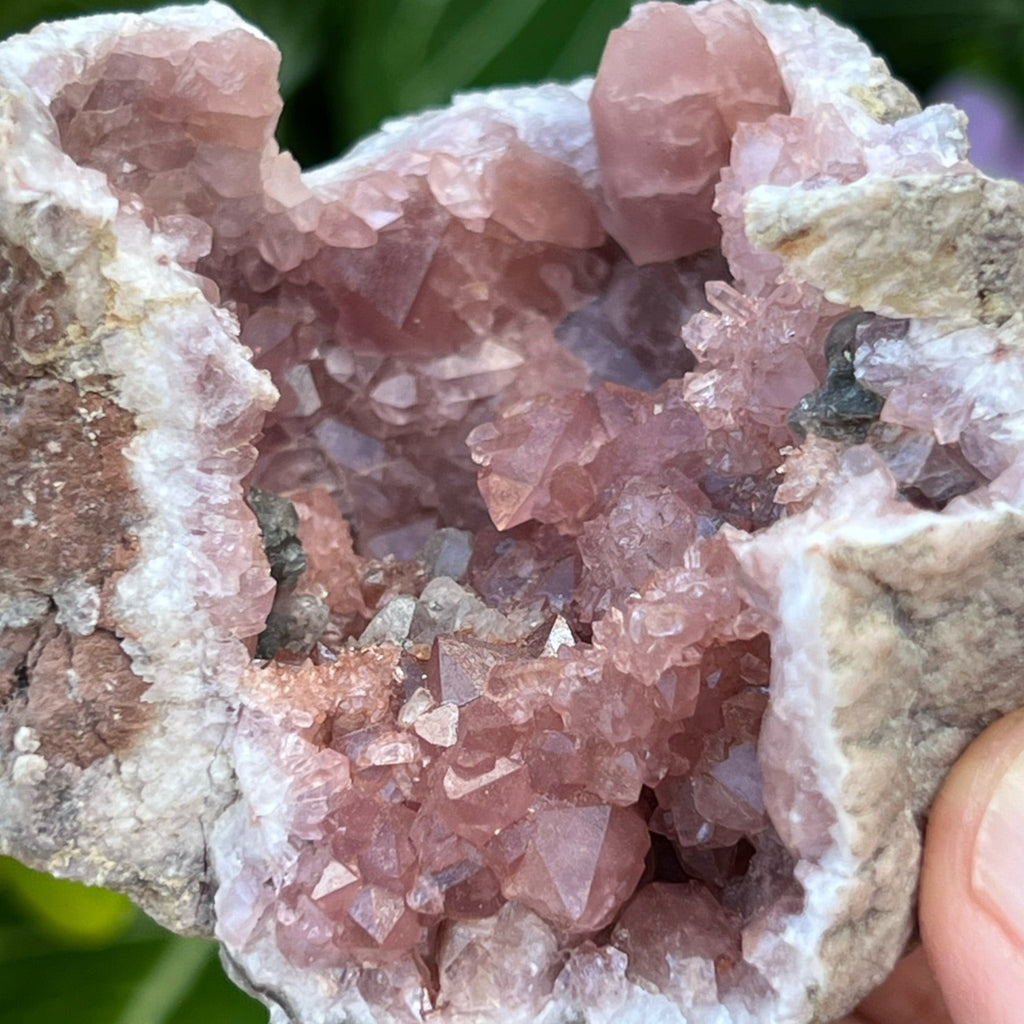 The majority of the terminations of the crystals, both primary and secondary growth,  are excellent in this Pink Amethyst Crystals Geode specimen.