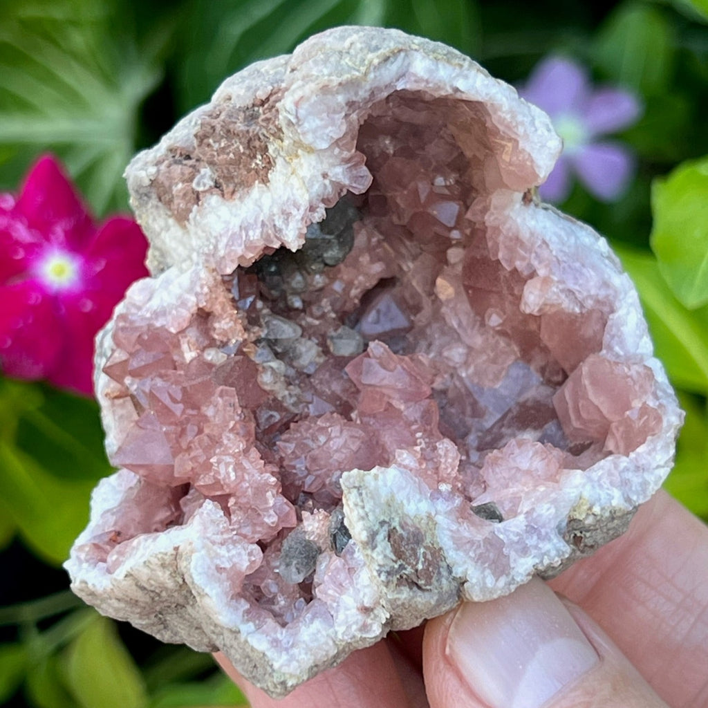 Terrific transparency and translucency to many of the Pink Amethyst crystals, both primary and secondary growth,  in this geode.
