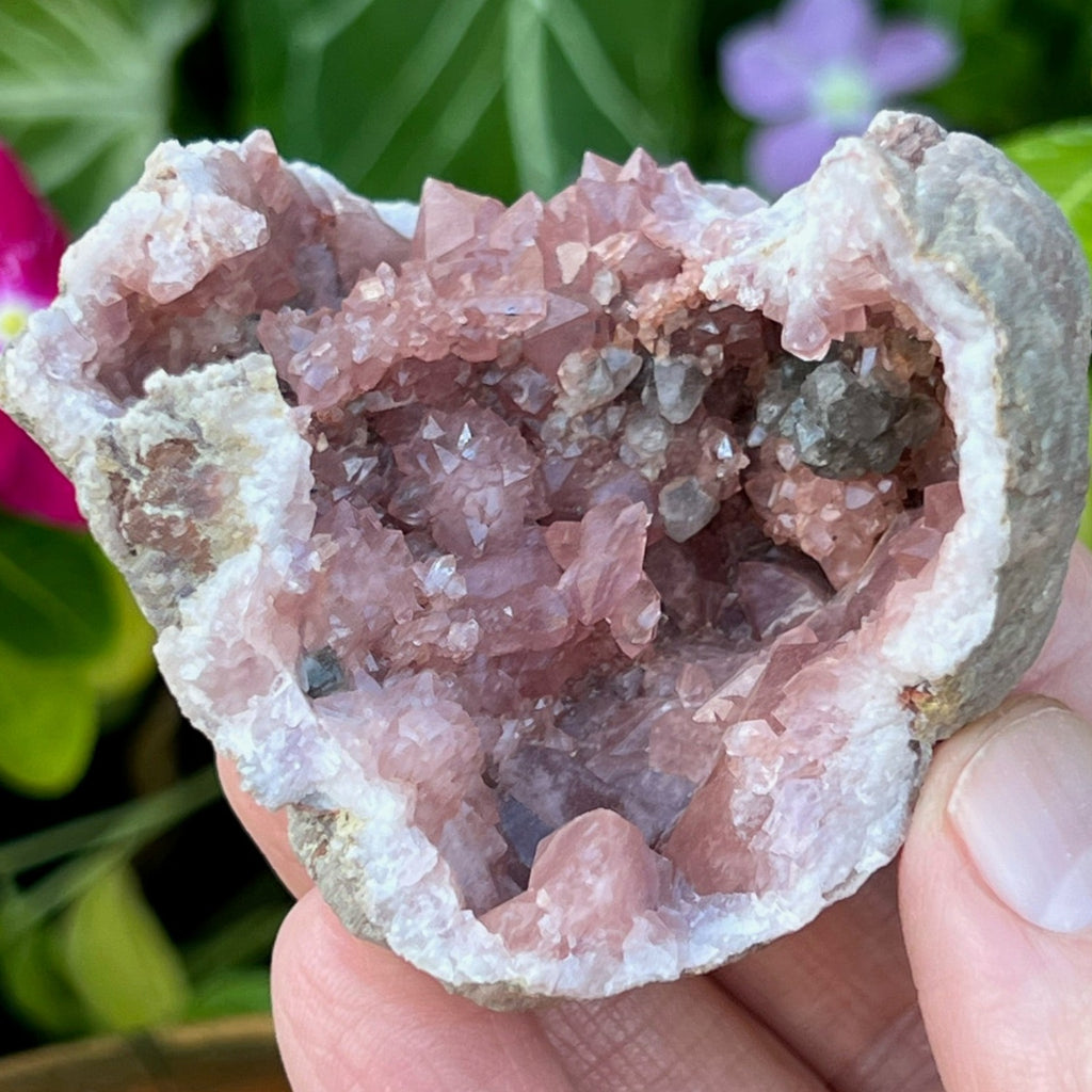 This is a fascinating, quality, Pink Amethyst Crystals Geode specimen featuring a beautiful rosette formation, double terminated crystals perched near the center of the pocket and contrasting  manganese imbued calcite crystals. 
