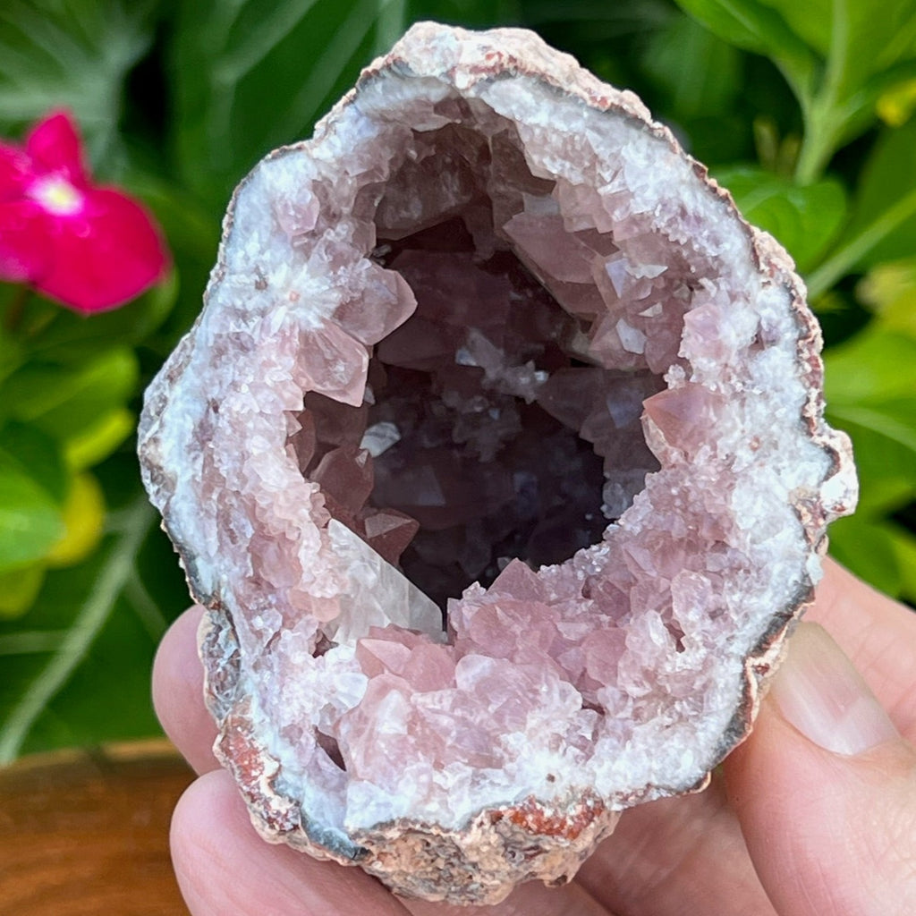 Many densely packed Pink Amethyst crystals line the walls of this excellent geode specimen. 