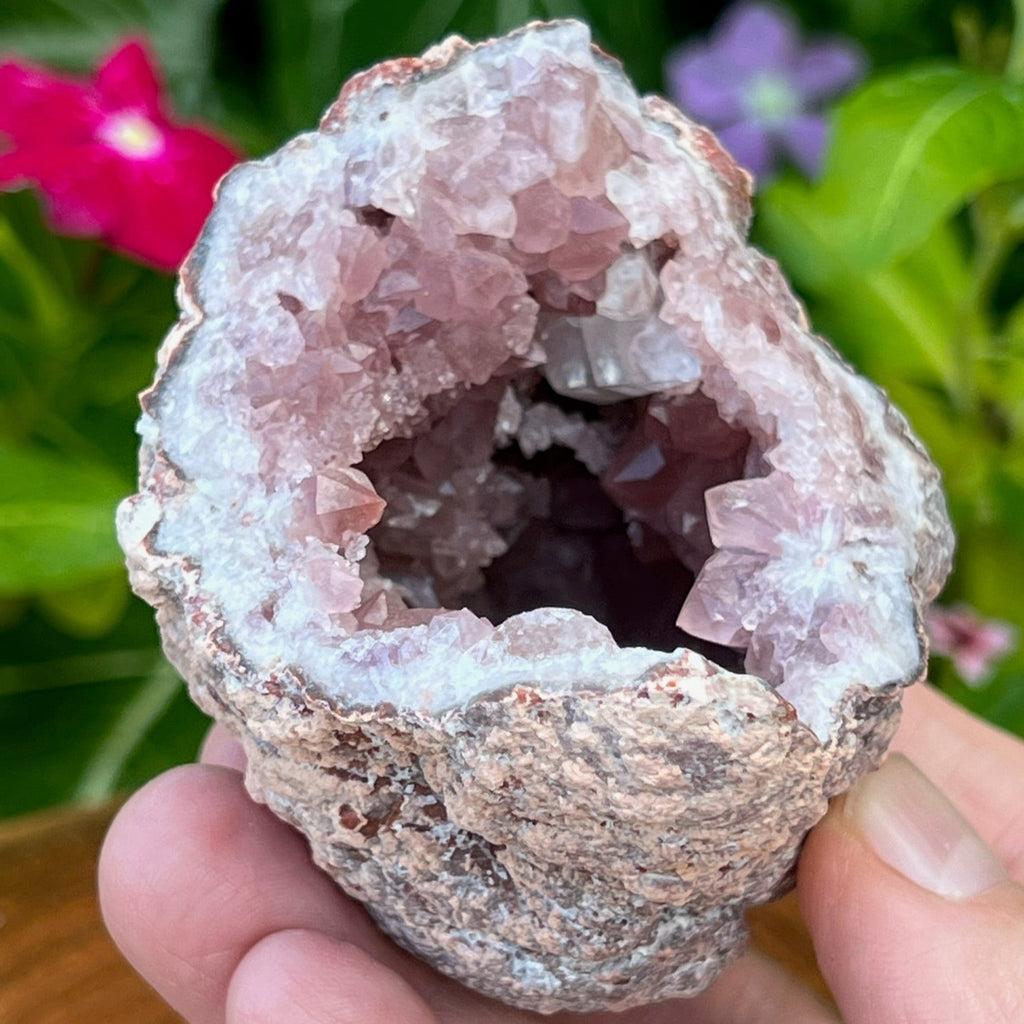 The excellent Calcite crystals in this geode are a superb complimentary feature in this Pink Amethyst Geode specimen.