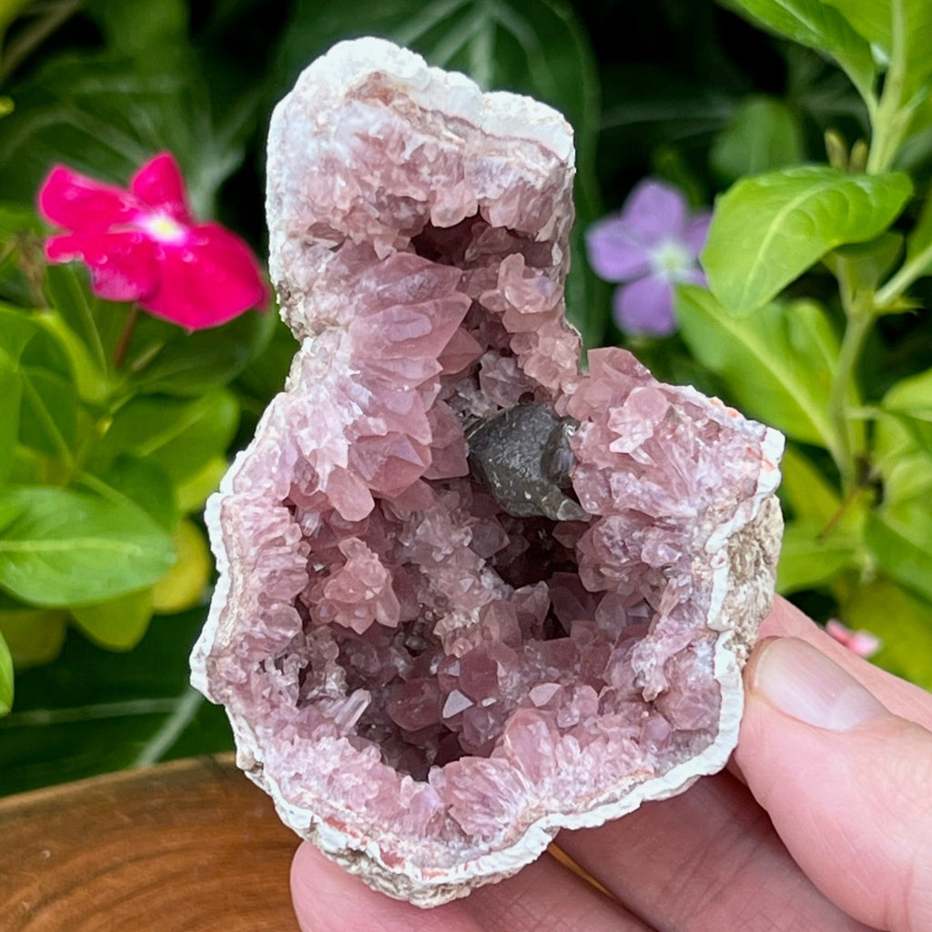 Absolutely crowded with superbly formed Pink Amethyst crystals, both primary and smaller secondary growth crystals present beautifully.