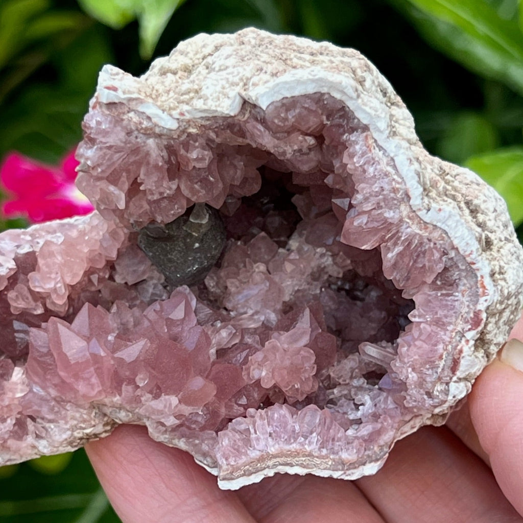 The darker pink color saturated crystals are representative of higher quality Pink Amethyst. We love the cool clusters of Pink Amethyst in this specimen. Of particular note is the larger cluster of crystals nearest the edge of the geode, just under the manganese glazed Calcite.