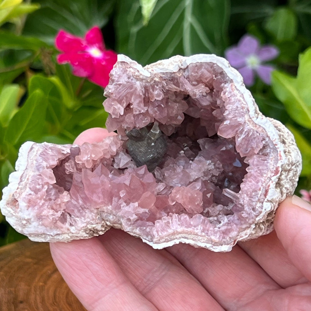 This is an excellent deep, darker pink, higher quality, Pink Amethyst Crystals Geode specimen featuring an abundance of lustrous crystals presenting in fascinating arrays and clusters with wonderfully contrasting manganese glazed Calcite crystals, one of which appears large and prominently near the center of the specimen. 