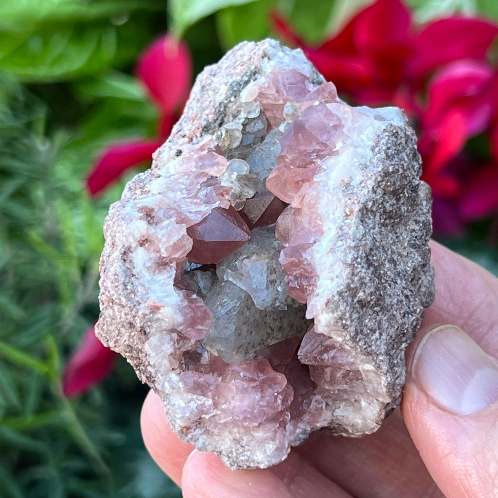 The excellent Calcite crystals in this geode are a superb complimentary feature in this Pink Amethyst Geode specimen. The darker pink crystals are representative of higher quality Pink Amethyst. 