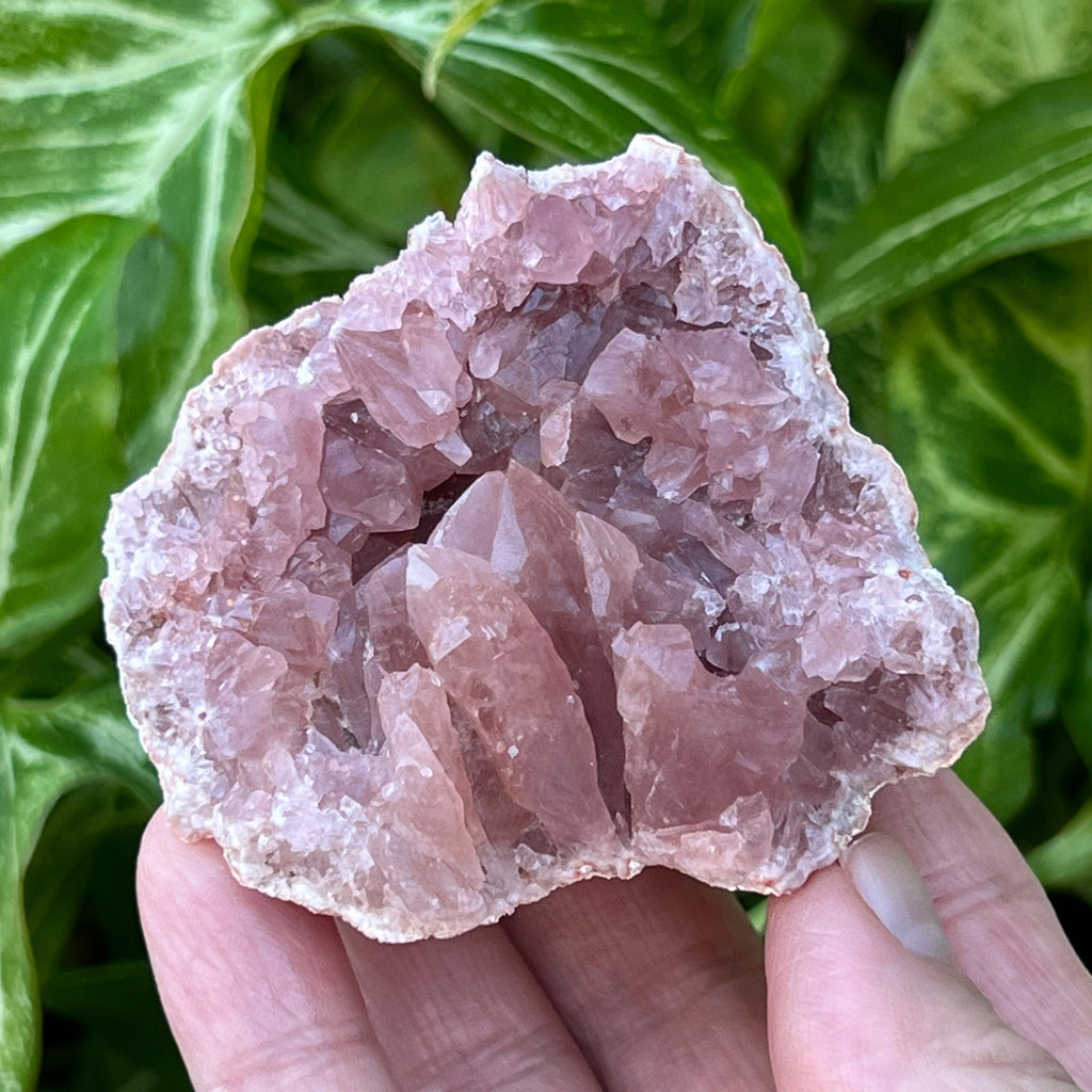 The darker pink crystals are representative of higher quality Pink Amethyst. The many crystals in this specimen appear fascinatingly crowded in the pocket.