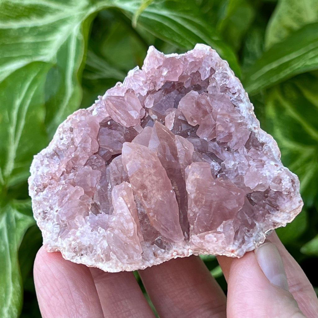 This is an unusual, beautiful, quality, Pink Amethyst Crystals Geode specimen with a grouping of atypical elongated crystals, definitely less common, some exhibiting re-crystallized or "self-healed" faces and terminations. 