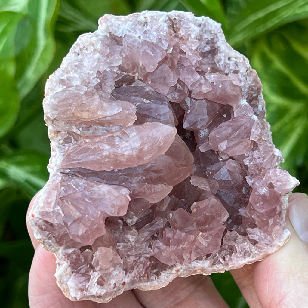 Pink Amethyst Geode Unusual Elongated Crystals | 177 grams