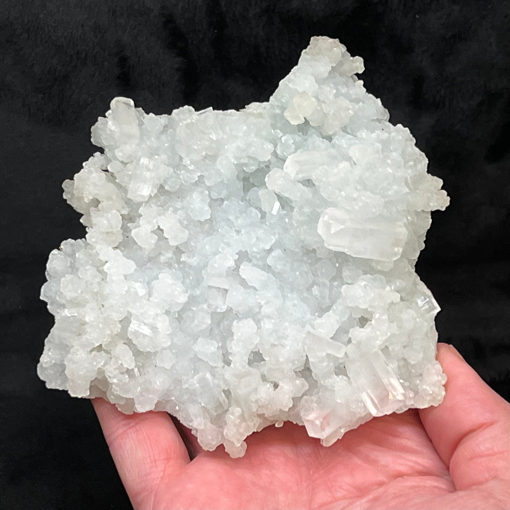This specimen is an excellent example of crystallized Prehnite replaced prismatic crystals that were once Laumontite.  