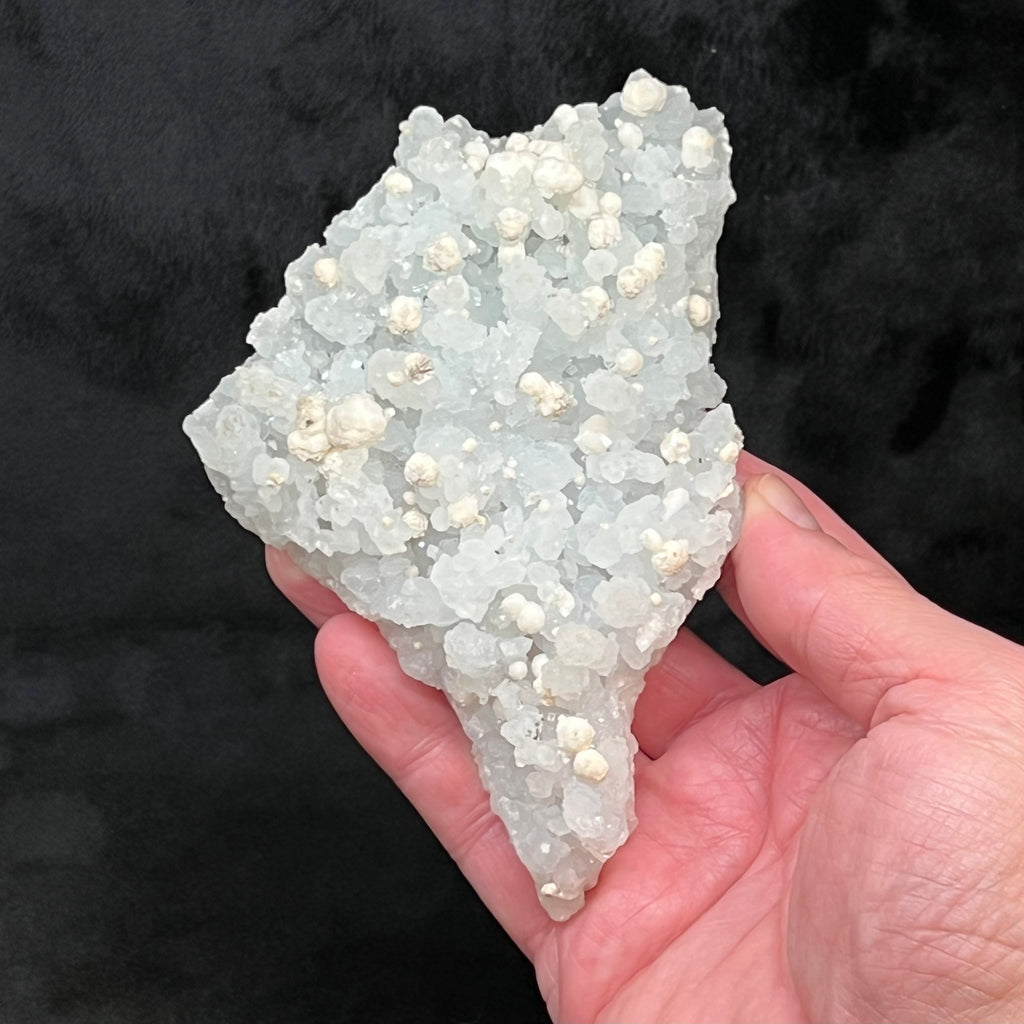 This Prehnite pseudomorph after Laumontite specimen is a fine example of crystallized Prehnite that replaced prismatic crystals that were once Laumontite. 