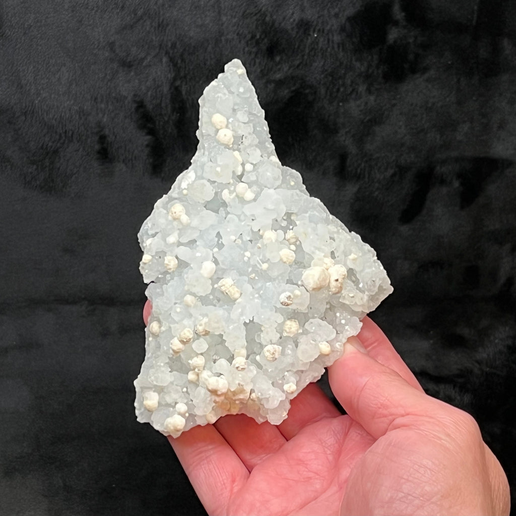The source for this large Prehnite pseudomorph after Laumontite specimen with Gyrolite ball-like crystals is the Thane District, Konkan Division, Maharashtra, India. Obtained from our contact that has a direct relationship with the owners of the mines in India.