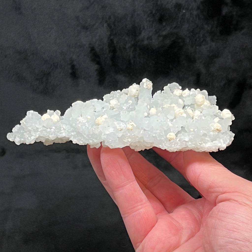 Mineral collectors believe the availability of large Prehnite pseudomorph after Laumontite specimens with Gyrolite ball-like crystals will be more and more rare as time passes. 