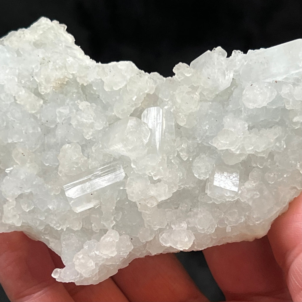This large Prehnite pseudomorph after Laumontite specimen with lustrous Apophyllite crystals features fascinating finger-like stalks, some stalactite-like, of pale, light blue-green Prehnite. 