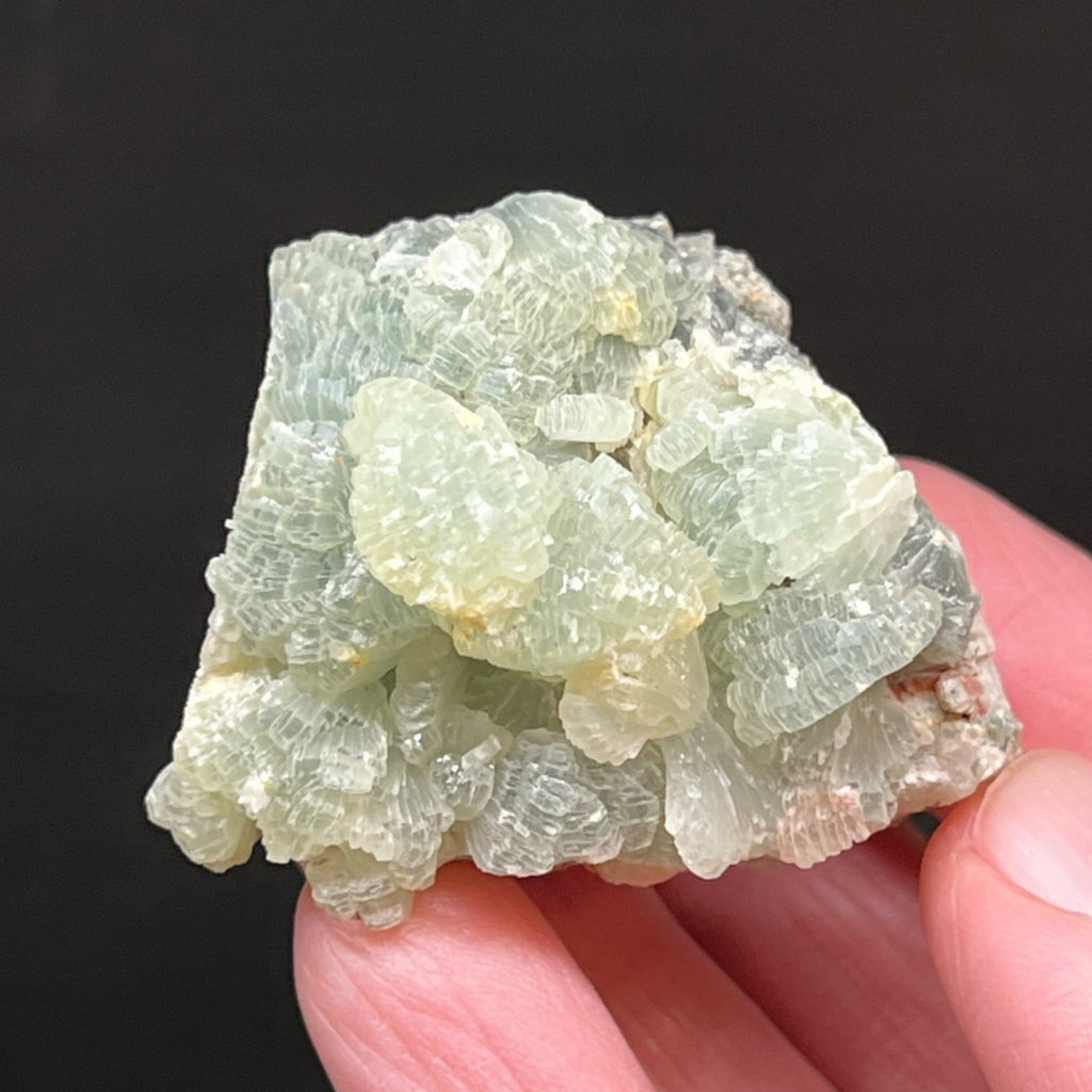 Prehnite Lustrous Green Botryoidal Crystal Bowties Fans Morocco 73g