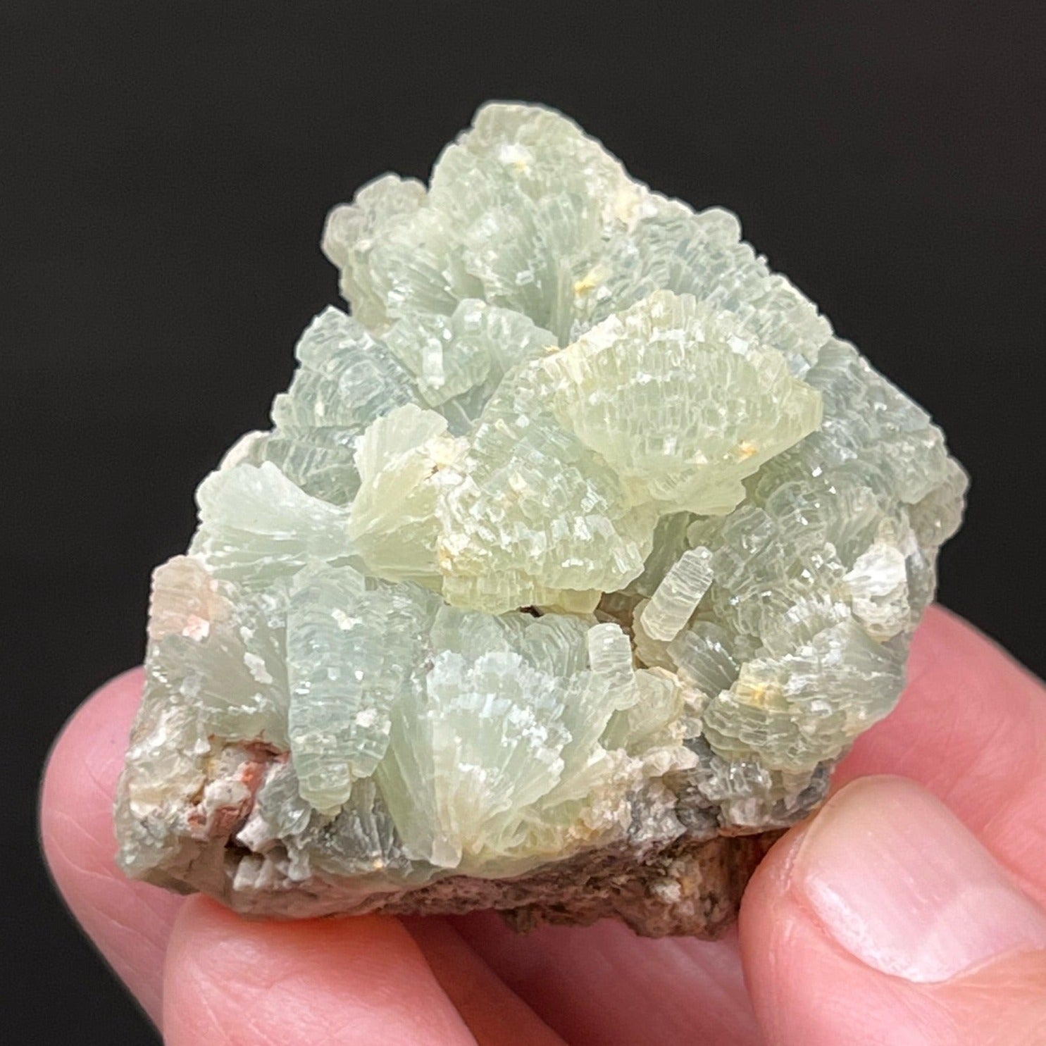 Occurrences of Prehnite crystals like these are present in volcanic cavities and veins.