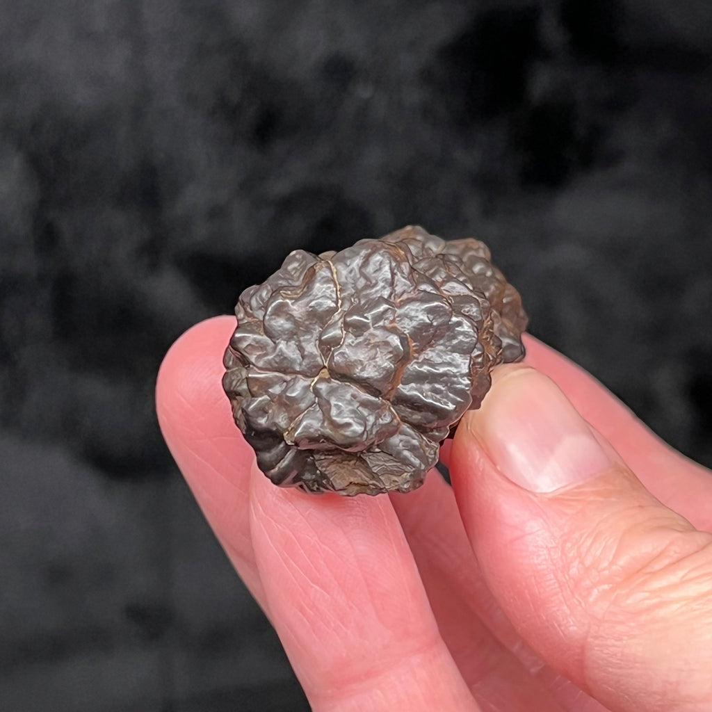 This excellent example of a Hematite, Goethite Pseudomorph After Marcasite, Pyrite specimen aka. Prophecy Stone, presents with a fascinating elongated structure and flower-like patterned ends.