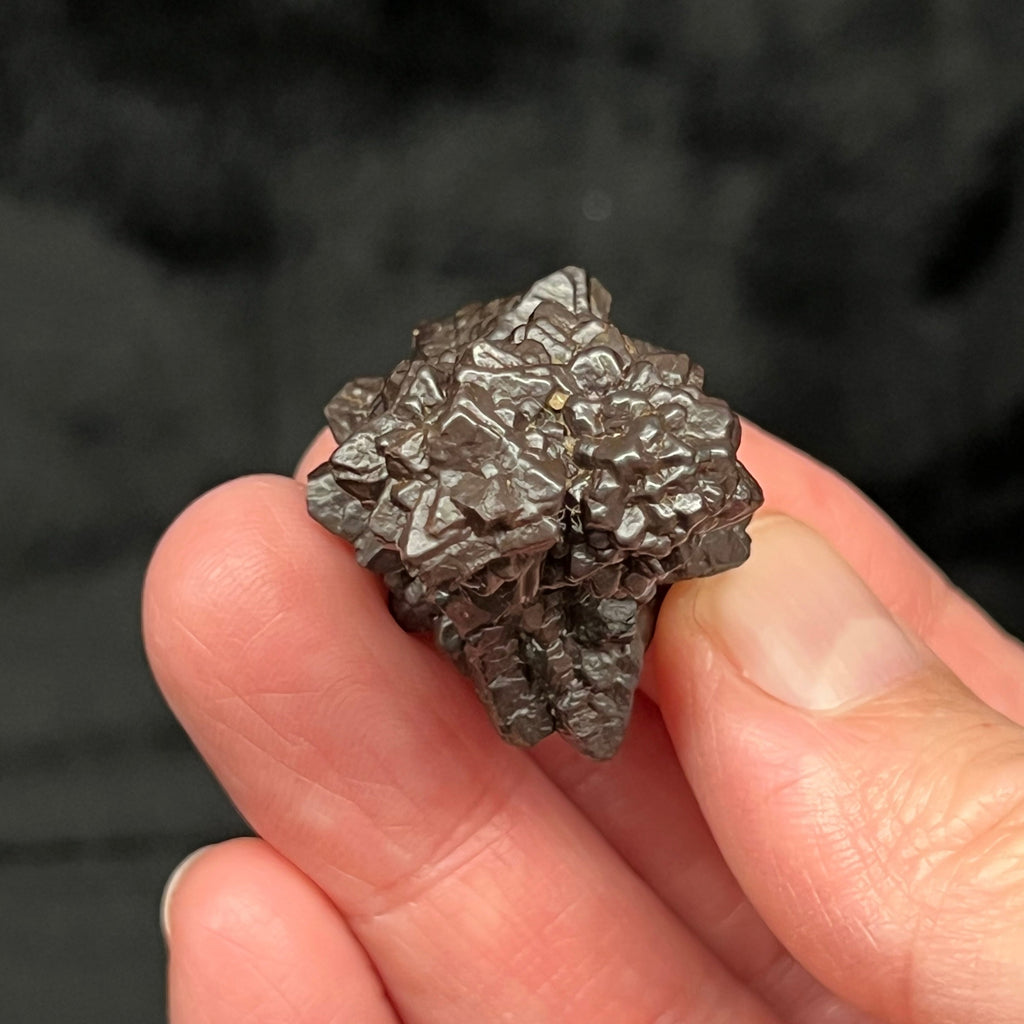 This fine Hematite, Goethite Pseudomorph after Marcasite / Pyrite also known as a Prophecy Stone, specimen presents with a double bloom-like structure on one end with a larger bloom or flower-like formation on the other end.