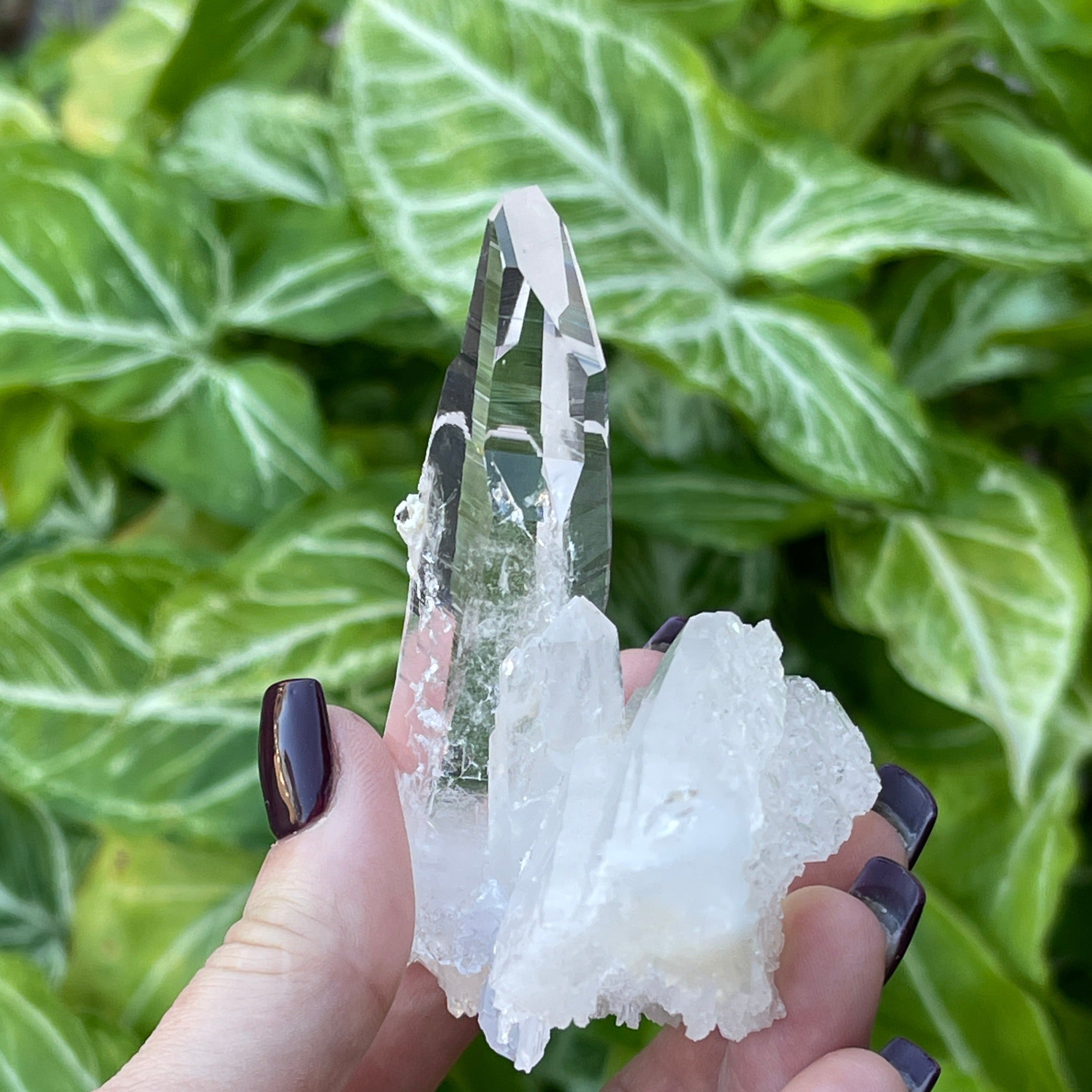 Colombian Quartz Pena Blanca 138gram | Water Clarity A+ Quality | Lemurian Cluster