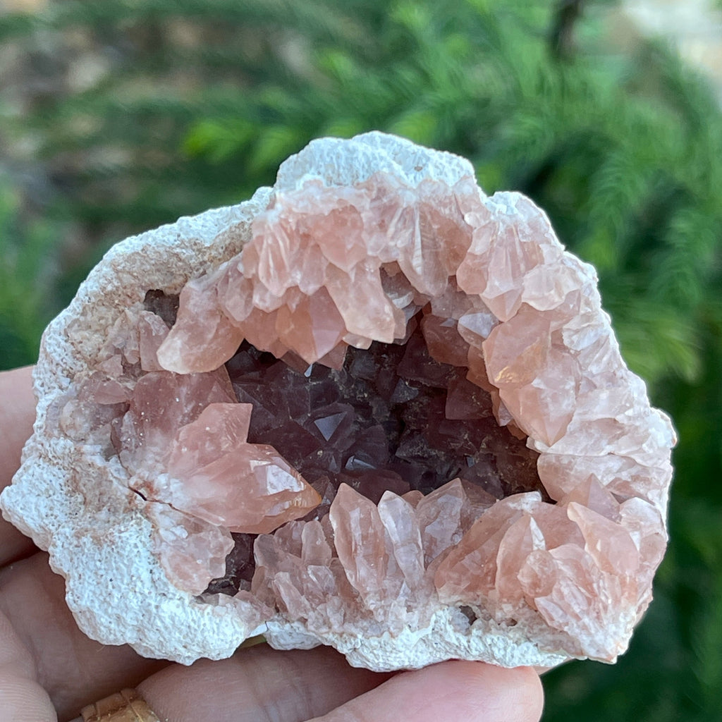 This Pink Amethyst geode exhibits a beautiful shine on the crystals. It displays beautiful form and color.