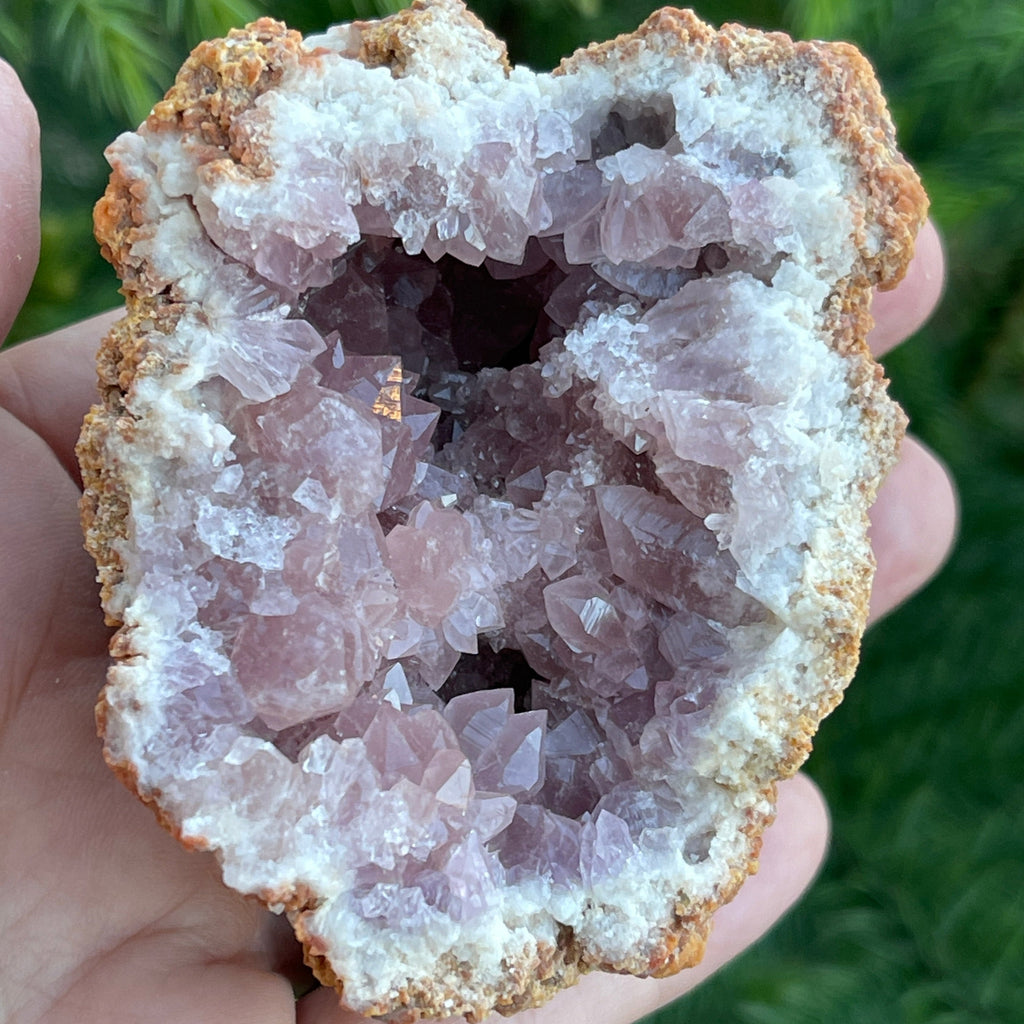 Beautiful Pink Amethyst Crystal Geode shown in hand.