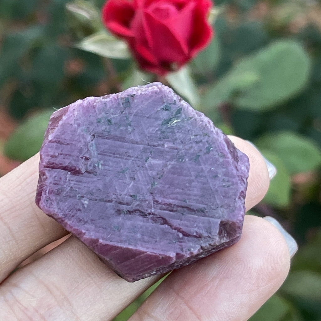 Ruby Crystal with Record Keepers