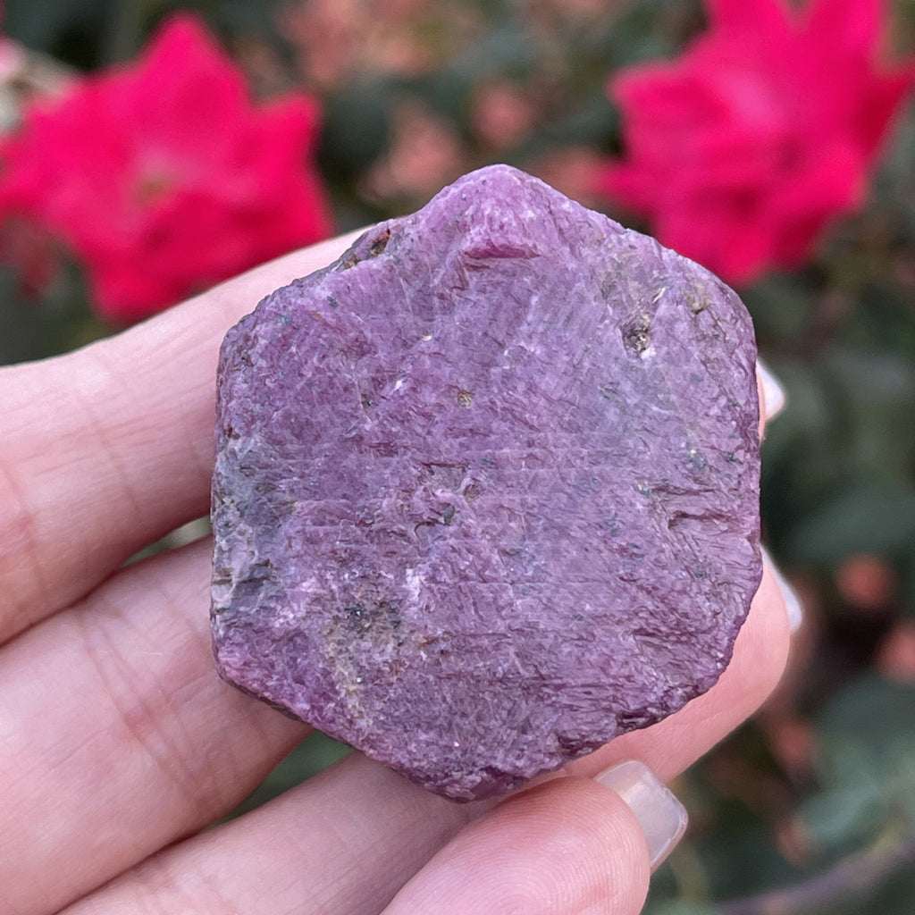 Ruby, high quality specimen with Record Keepers.