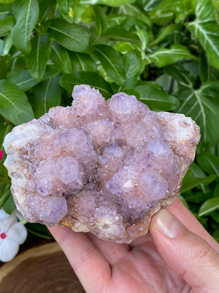 Spirit Cactus Quartz Crystals | Larger 487grams Amethyst Quartz Cluster