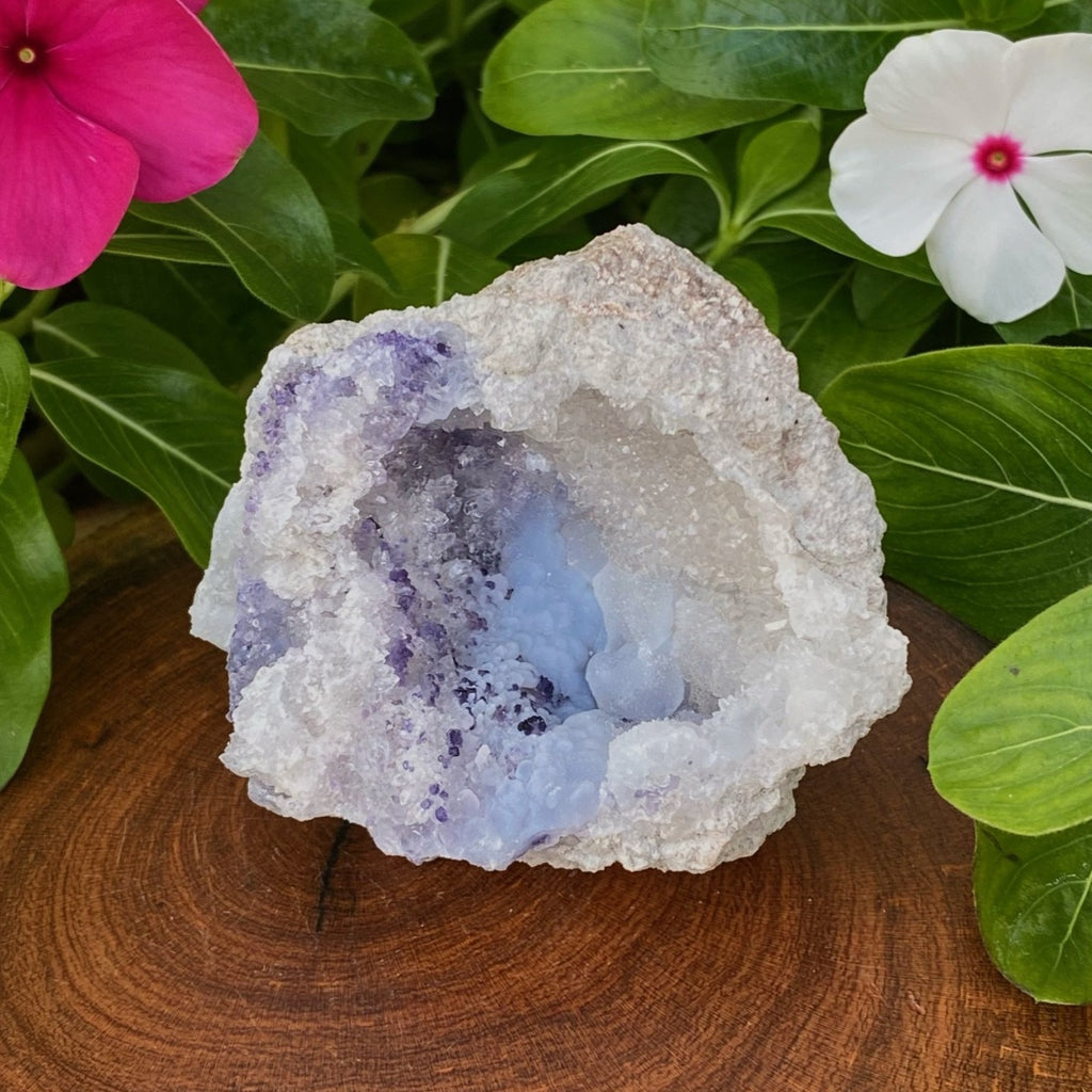 Spirit Flower Geodes are all natural and composed of a blend of botryoidal Chalcedony, Dark Blue Fluorite and druzy Quartz crystals. 