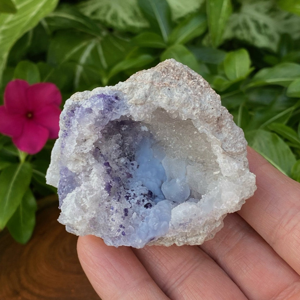 We love the overall bowl shaped symmetry of this Spirit Flower Geode specimen. Along one half of the perimeter of the geode there is a beautiful dispersion of blue fluorite which also presents darker in color sprinkled inside the pocket. 