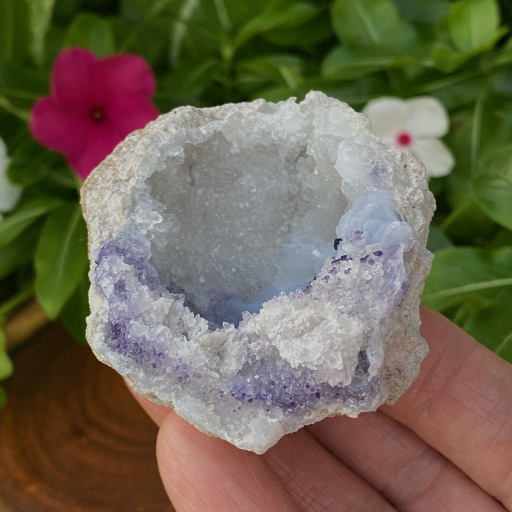 Spirit Flower Geodes combine the soft contours of botryoidal blue and white Chalcedony with sparkling druzy-like quartz crystals and blue-purple Fluorite, giving a soft bluish- purple hue to the geode.